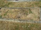 image of grave number 151664